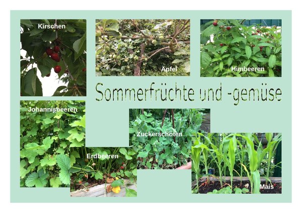 Abbildung verschiedener Früchte und Gemüse